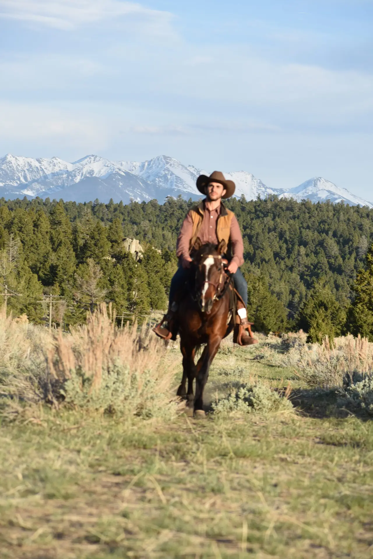 Natural Horsemanship Training in Queensland
