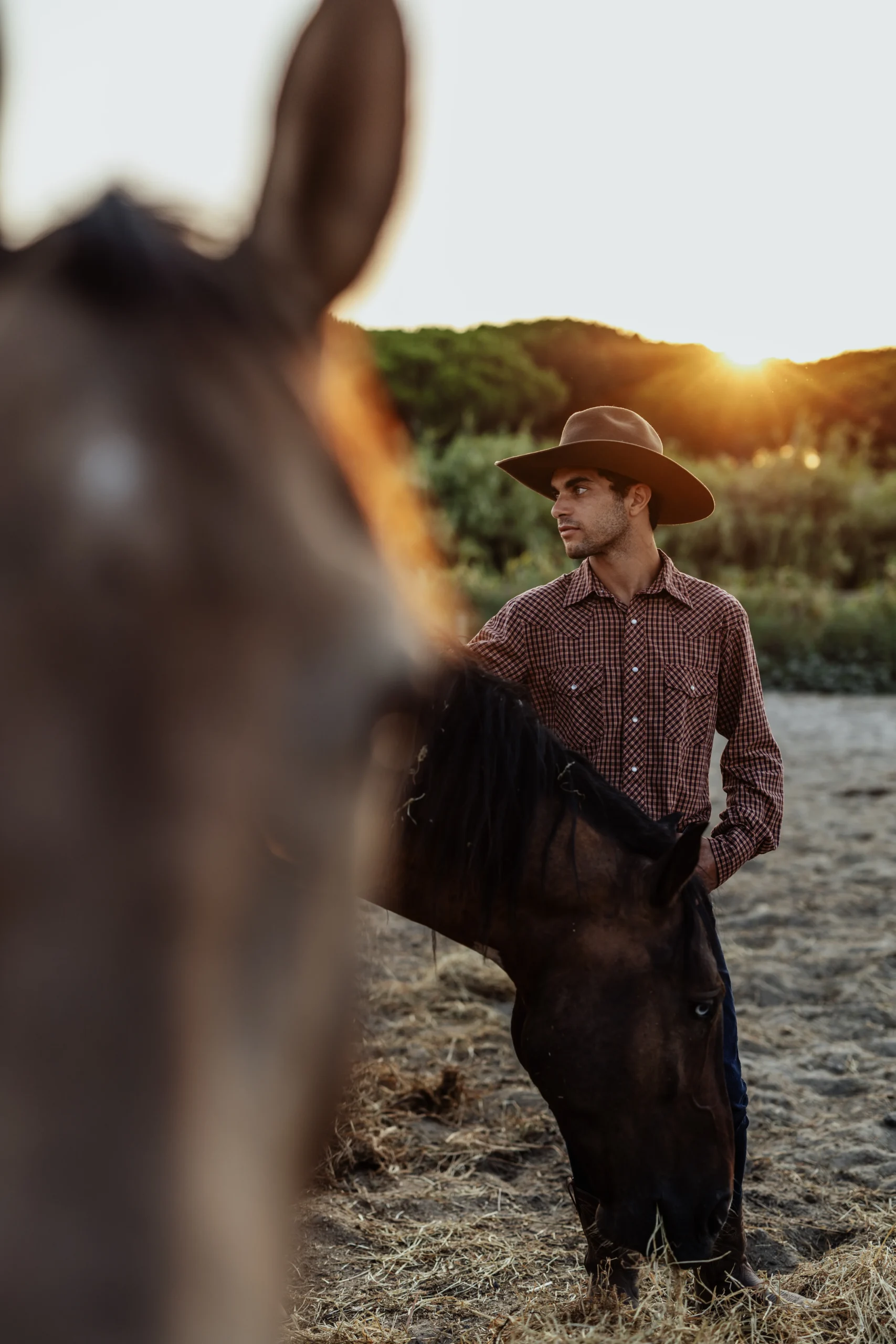 Natural Horsemanship & Liberty in Queensland