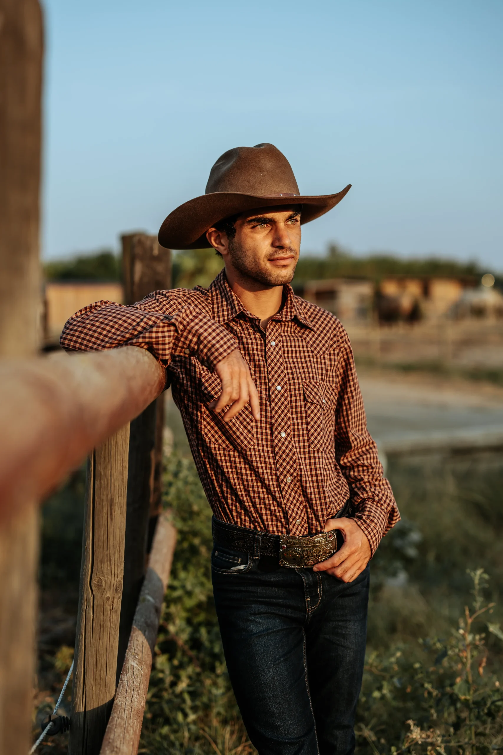 Natural Horsemanship Training in Queensland Coaching
